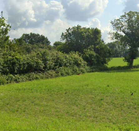 Terrain de 700m² sur Saint-Martin-de-Crau - constrcuteur de maison - Villas la Provençale