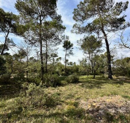 Dernier terrain sur St Maximin ! - constrcuteur de maison - Villas la Provençale