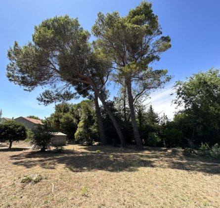 EXCLUSIVITE Terrain + Maison à Arles - constrcuteur de maison - Villas la Provençale