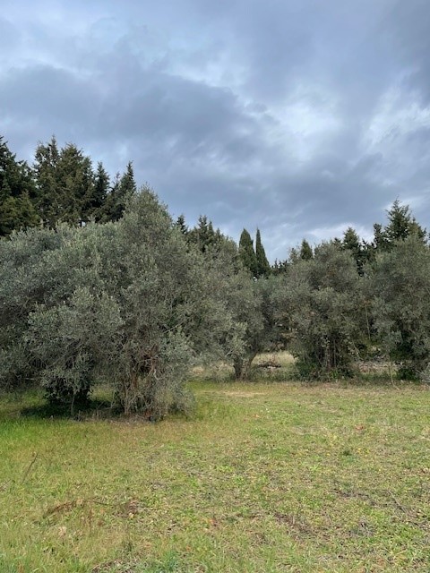 Nouveau terrain sur Lançon de Provence