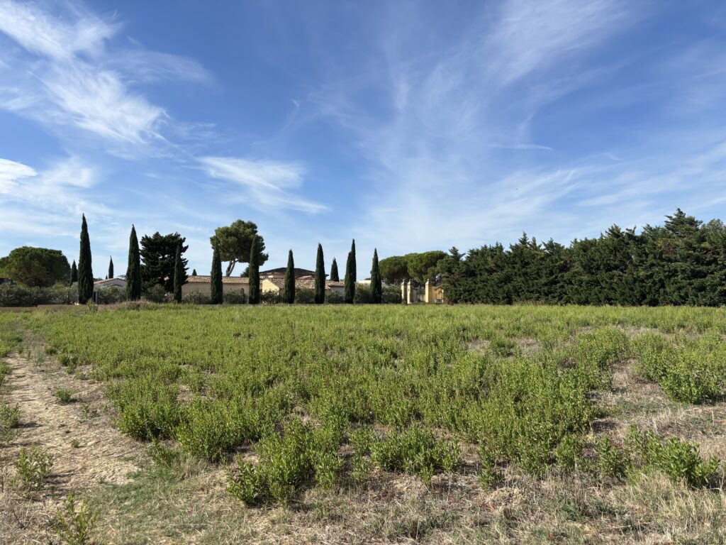 Terrain constructible, Bel emplacement à Domazan
