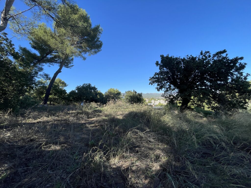 MARSEILLE 13? – LES OLIVES