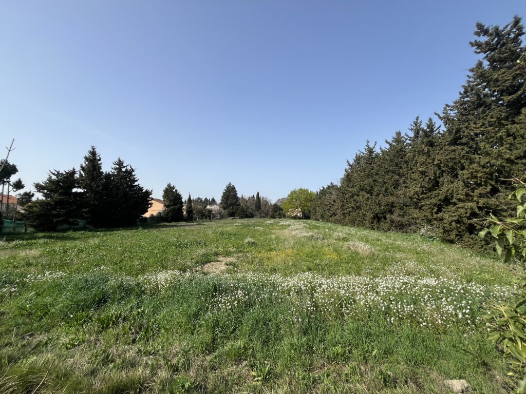 Terrain constructible, Bel emplacement à Avignon