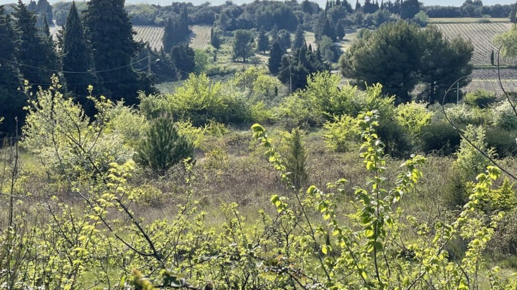 Terrain constructible, intimiste à Châteauneuf-de-Gadagne